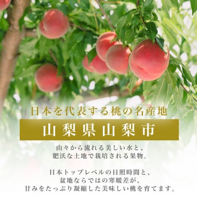 晩生種 約2kg 5~8個 大ぶり歯ごたえ◎ YAMANASHI PRIDE 桃