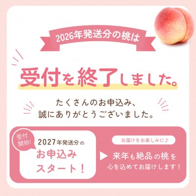 2027年(来年)発送先行受付 晩生 約2kg 5~8個 大ぶり歯ごたえ◎ 桃