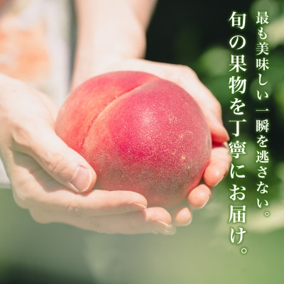 晩生種 約2kg 5~8個 大ぶり歯ごたえ◎ YAMANASHI PRIDE 桃