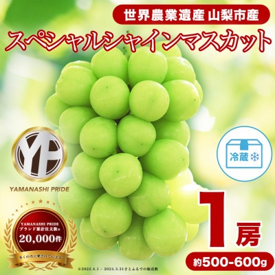 フルーツ王国山梨産厳選 シャインマスカット 1房(約500-600g)