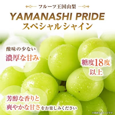 2027年(来年)発送先行受付 フルーツ王国 山梨産 シャインマスカット 1房(約500-600g)