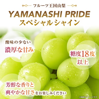 2026年度先行予約 フルーツ王国山梨産厳選 シャインマスカット 3～4房(約1.5kg)