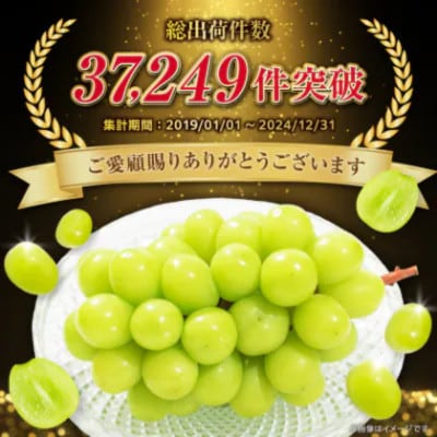 2027年(来年)発送先行受付 フルーツ王国山梨産厳選 シャインマスカット 3～4房(約1.5kg)