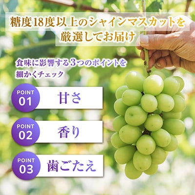 2026年度先行予約 フルーツ王国山梨産厳選 シャインマスカット 3～4房(約1.5kg)