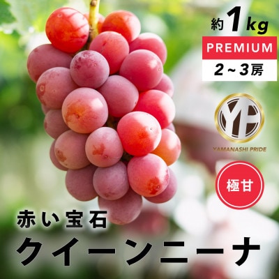 赤い大玉ぶどう 希少品種 クイーンニーナ 約1kg YAMANASHI PRIDEプレミアム