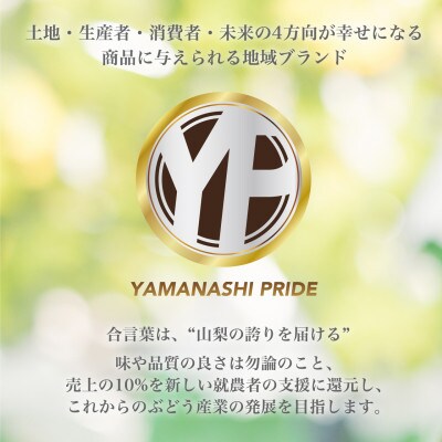 ハート型ぶどう 希少品種 マイハート 約1kg(2～3房) YAMANASHI PRIDEプレミアム