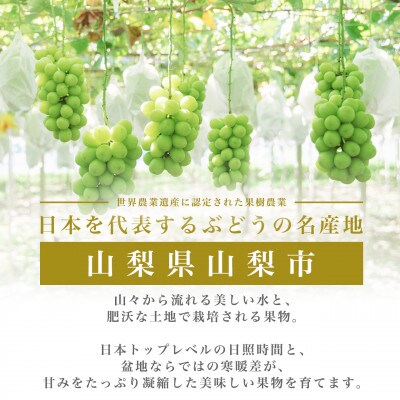 ハート型ぶどう 希少品種 マイハート 約1kg(2～3房) YAMANASHI PRIDEプレミアム