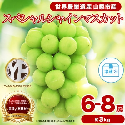 フルーツ王国山梨産厳選 シャインマスカット 6～8房(約3kg) 約1.5kg×2箱