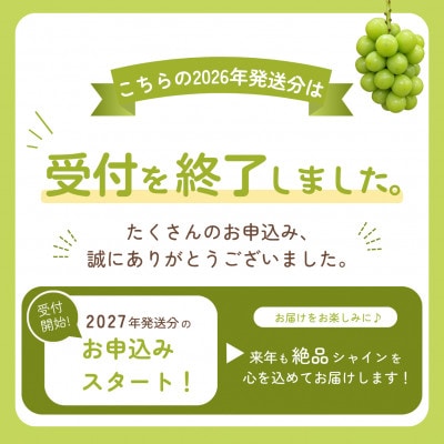 2027年(来年)発送先行受付 山梨 シャインマスカット 6～8房(約3kg) 約1.5kg×2箱