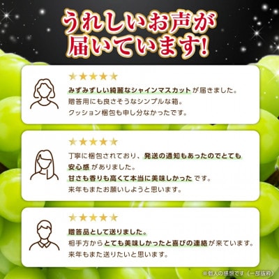 フルーツ王国山梨産厳選 シャインマスカット 6～8房(約3kg) 約1.5kg×2箱