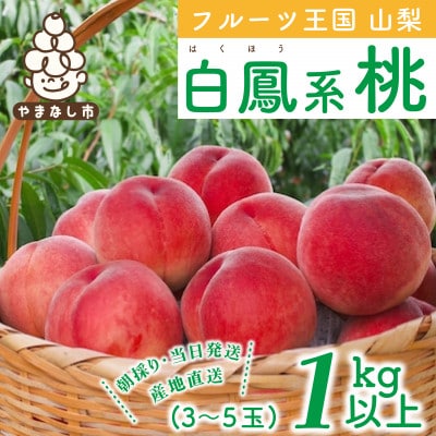 山梨県産 桃 白鳳系 1kg以上(3～5玉) フルーツ王国・山梨から産地直送