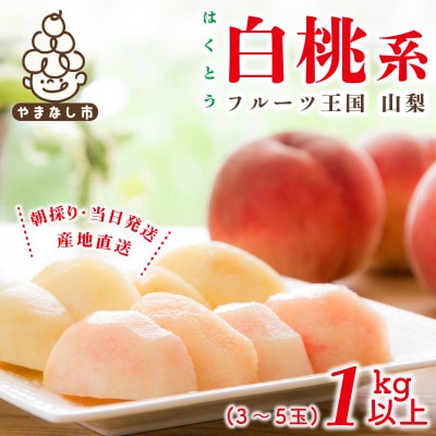 山梨県産 桃 白桃系 1kg以上(3～5玉) フルーツ王国・山梨県から産地直送