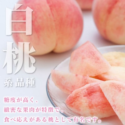 山梨県産 桃 白桃系 1kg以上(3～5玉) フルーツ王国・山梨県から産地直送