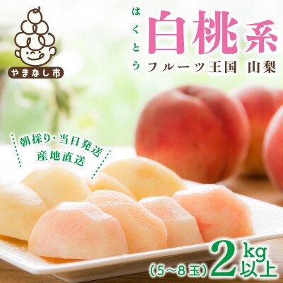 山梨県産 桃 白桃系 2kg以上(5~8玉) フルーツ王国・山梨から産地直送