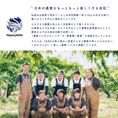山梨県産 桃 白桃系 2kg以上(5～8玉) フルーツ王国・山梨から産地直送