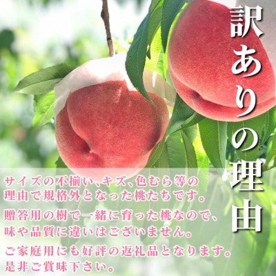 【訳あり】桃 2kg 以上 (5～8玉) フルーツ王国・山梨県から産地直送