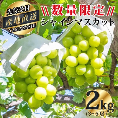 山梨県産シャインマスカット約2kg(3～5房) ふるさと納税