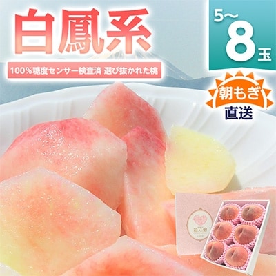 桃 『白鳳系』 約2kg 5～8玉 朝もぎ直送! 選び抜かれた桃
