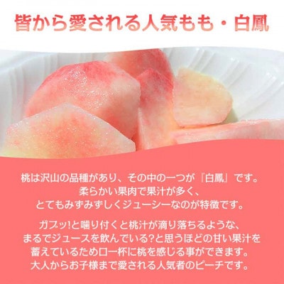 《2026年発送　先行受付》桃 『白鳳系』 約2kg 5～8玉 朝もぎ直送! 選び抜かれた桃