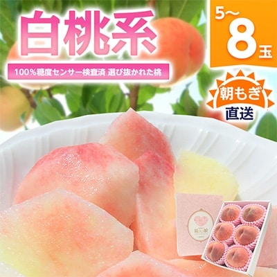 桃 『白桃系』 約2kg 5～8玉 朝もぎ直送! 選び抜かれた桃