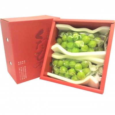 朝もぎ直送! 『ハウス　シャインマスカット』2房 ふるさと納税