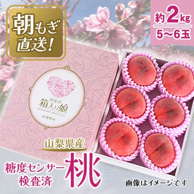 【2027年 先行受付】 桃 約2kg 5～6玉 朝もぎ直送! 旬の完熟『桃』選び抜かれた桃