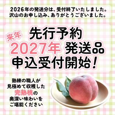 【2027年 先行受付】 桃 約2kg 5～6玉 朝もぎ直送! 旬の完熟『桃』選び抜かれた桃