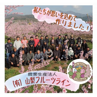 最後の完熟桃『トワイライトピーチ』約1.5kg(3～6玉)
