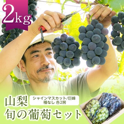 シャインマスカット 巨峰 各2房 旬の葡萄セット2kg (種なし)