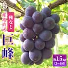  銀河農園まきおか 巨峰 約1.5kg (3～4房)