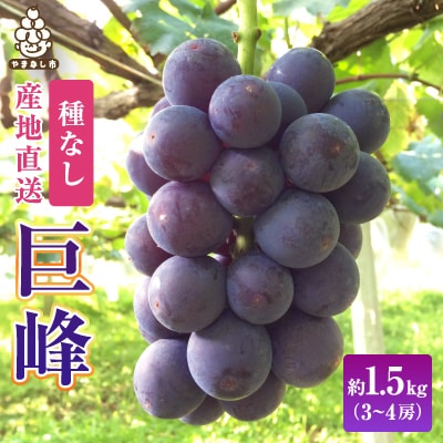  銀河農園まきおか 巨峰 約1.5kg (3～4房)