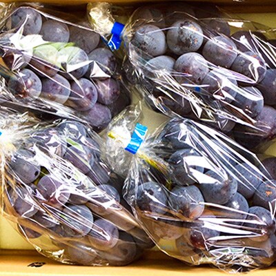 【2024年先行受付】銀河農園まきおかの甘くてジューシーな巨峰(種なし)約1.5kg(3~4房)