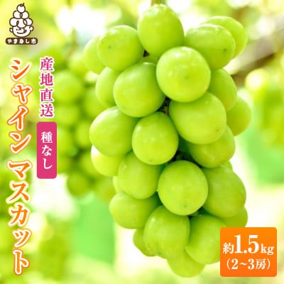 銀河農園まきおかのシャインマスカット(種なし)約1.5kg(2～3房)