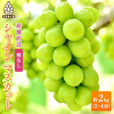  銀河農園まきおか シャインマスカット 約2.0kg (3～4房)