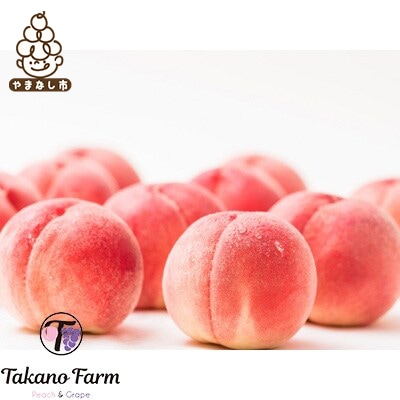 贈答もも 約2kg 山梨県産 自社農園産直!完熟収穫!【数量限定】化粧箱
