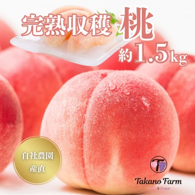 完熟収穫桃 約1.5kg 山梨県産 自社農園産直!