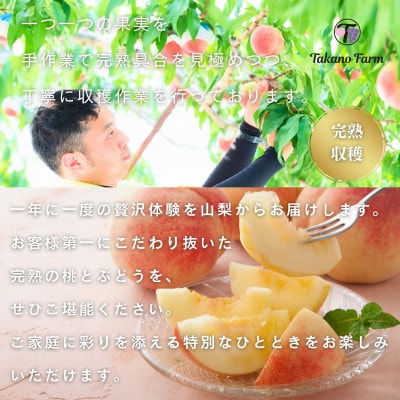 完熟収穫桃 約1.5kg 山梨県産 自社農園産直!