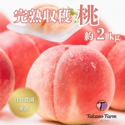 完熟収穫桃 約2kg 山梨県産 自社農園産直!
