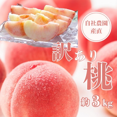 【訳あり】完熟収穫桃 約3kg 山梨県産 自社農園産直!