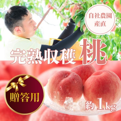 【贈答用】完熟収穫桃 約1kg 山梨県産 自社農園産直!