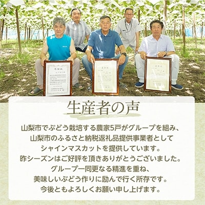 シャインマスカット 1kg (2房) 農家直送 世界農業遺産認定地特産