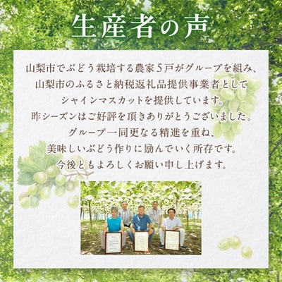 シャインマスカット 2kg (3～4房) 農家直送 世界農業遺産認定地特産