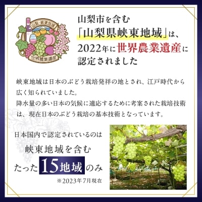 シャインマスカット 2kg (3～4房) 農家直送 世界農業遺産認定地特産