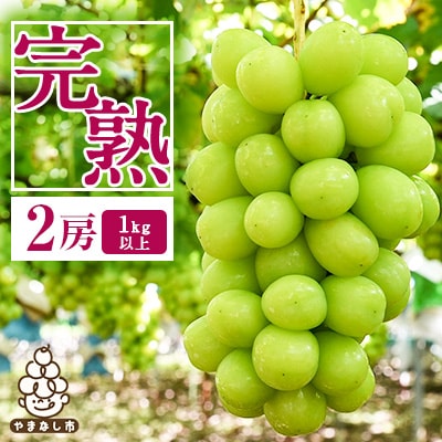 【2026年先行受付】完熟 シャインマスカット 2房 (1kg以上) 世界農業遺産認定地特産