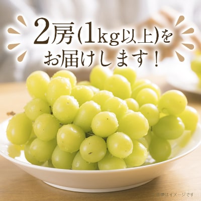 【2026年先行受付】完熟 シャインマスカット 2房 (1kg以上) 世界農業遺産認定地特産