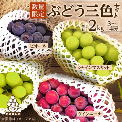 【2026年先行】数量限定ぶどう三色セット(クインニーナ、シャインマスカット、ピオーネ)2kg