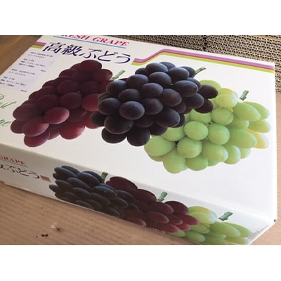 良いとこどり!シャインマスカット、クインニーナ、巨峰の3色セット(各1房入:約2kg)