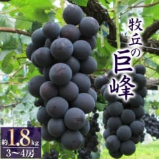 あの、牧丘の種無し巨峰1.8kg