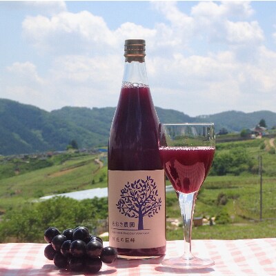 牧丘の巨峰100%ストレートジュース　720ml