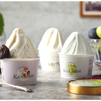 【母の日】食のサスティナブルに貢献するアイスクリーム『KaiCream』8個入り